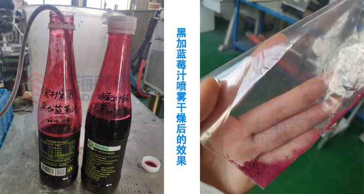 黑加蓝莓汁喷雾干燥机干燥实验案例